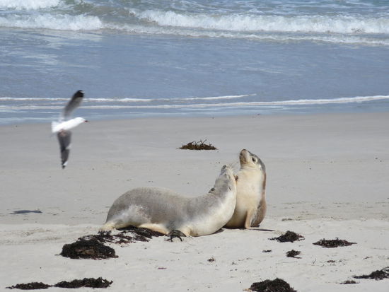 ... beim entspannen am Strand!