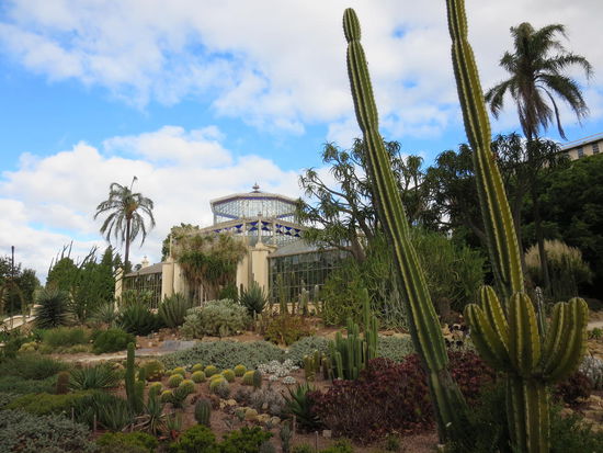 Palmenhaus im Botanischen Garten