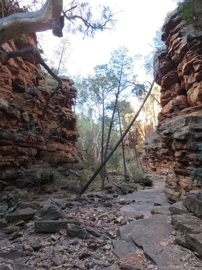 Alligator Gorge, wo wir beinahe die Hälfte der Leute verloren hatten 