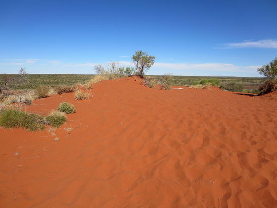 Und schon wird der Sand rot 