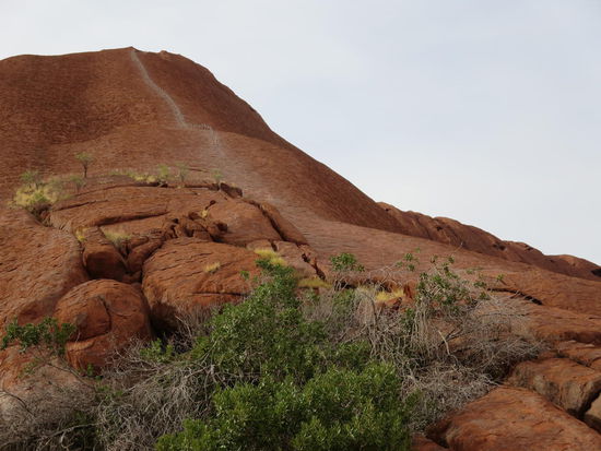 Hier ist der Anstieg auf den Heiligen Berg der Aborigines, den wir natürlich nicht gegangen sind ...