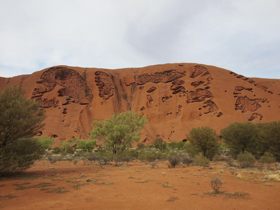 Hier gibt es die Saga vom Teufelshund, der die Wallabies gejagt hat. Na, erkannt? 