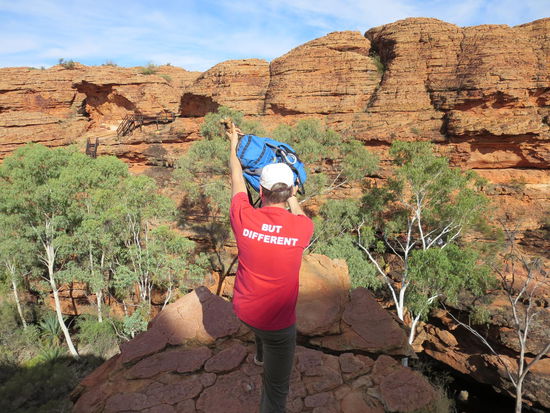 Wie bei König der Löwen 