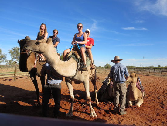 Ein kleiner Kamelritt war auf dem Weg nach Alice Springs auch noch drin