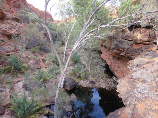 Ein Wasserloch im Canyon (und keinen Ausgang, weshalb es auch Canyon heisst. Und damit ist der Grand Canyon in den USAeigentlich falsch bezeichnet, da es eine Schlucht ist - ja, useless knowledge von Garry  )