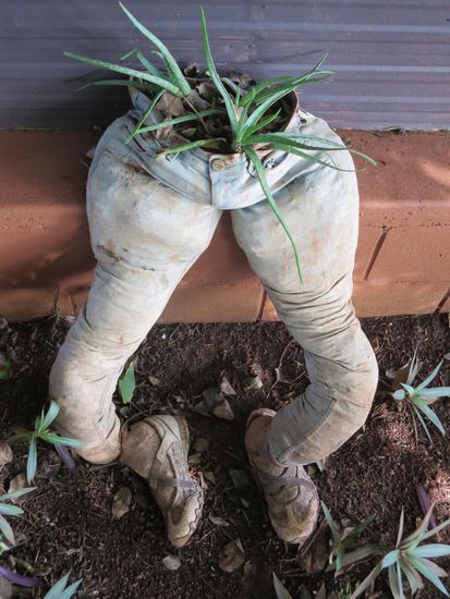Da passt der Ausspruch: "Dir wächst ja Gras aus der Tasche" nun mal wirklich