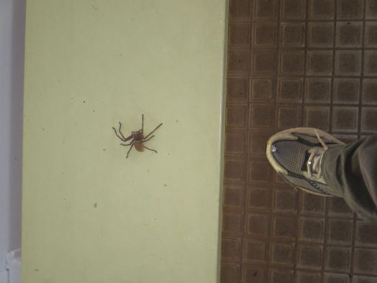 Tja, aber nicht nur Wasserfälle waren zu sehen ...