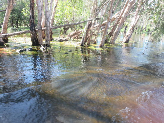 Durch überflutete Strassen mussten wir immer mal wieder fahren
