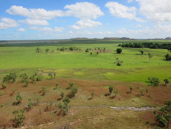 Die sog. Floodplains, in der Regenzeit komplett unter Wasser