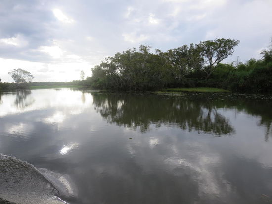 Hier geht es vom Billabong in den South Alligator River, welcher von einem Kartographen falsch bennant wurde (er war voher in Florida und hat die Korkodile mit den dortigen Aligatoren verwechselt). Nachdem die Karten dann aber schon alle so erstellt waren, ist es so belassen worden, war ja im 19. Jahrhundert nicht so leicht mit Kopien