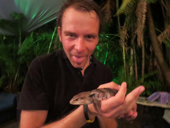 Und nochmal ne Echse