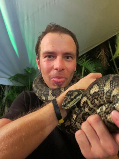 Ganz schön schwer, die Phython, aber nicht gefährlich