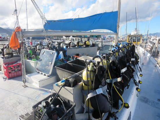 Mit 14 Tauchern nicht allzu gross ...