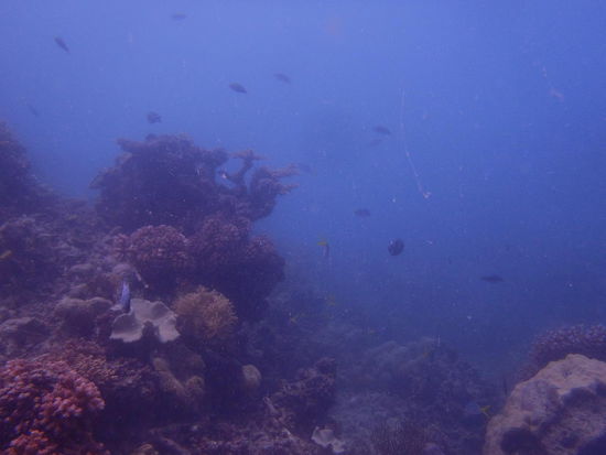 Sicht nach dem Cyclon leider noch sehr aufgewühlt ...