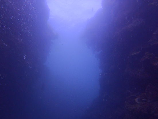 Aber alles kein Problem, hab ja bereits 23 Tauchgänge 