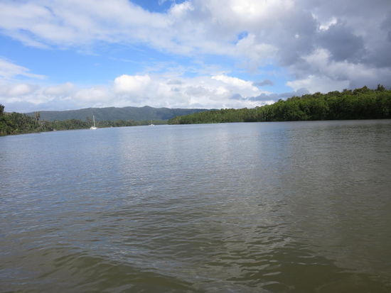 Daintree River, den man mit der Fähre überfahren oder einen langen Umweg in Kauf nehmen muss, und das noch auf unbefestigten Strassen ...