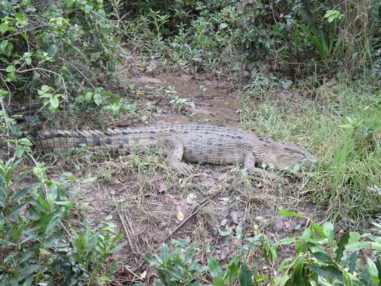 ... wobei wir doch eines gefunden haben!
