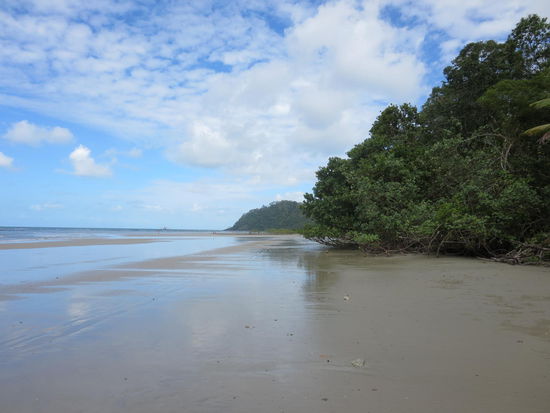 Cape Tribulation Beach, an dem auch mein Hostel war