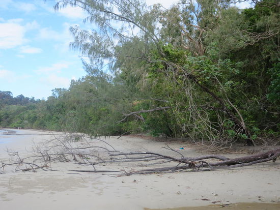 ... bis direkt zum Strand!