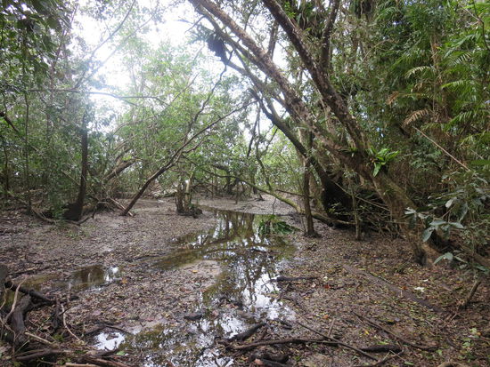 Immer wieder kommen kleine Flüsse von den Bergen zum Strand, die es zu durchwaten gilt