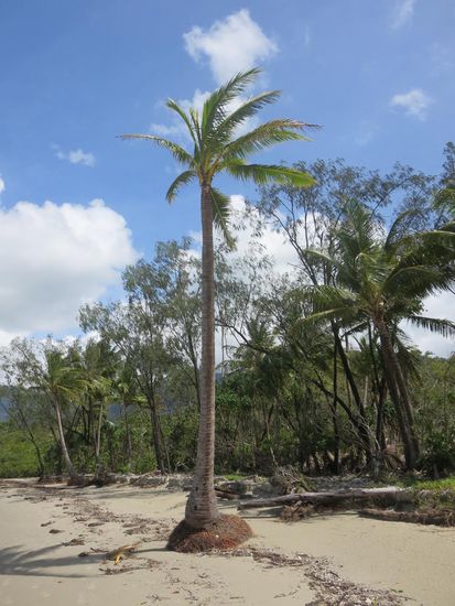Hier wächst natürlich alles ...