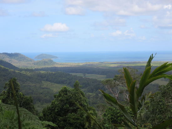 Alexandra Lookout, auf dem Rückweg nach Cairns