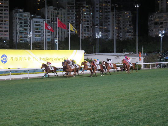 Lauf Forest, lauf .... Ach nein, dass war ja gestern bei Bubba Shrimp ...