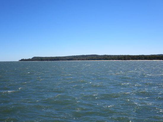 Da drüben ist schon Fraser Island, die grösste Sandinsel der Welt und trotzdem zu mehr als einem Drittel bewaldet