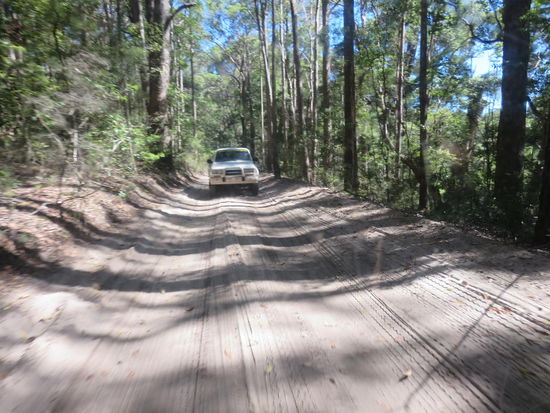 Innere Route durch den Regenwald - Man sieht also, nicht alles ist schlecht, was "auf Sand gebaut ist"