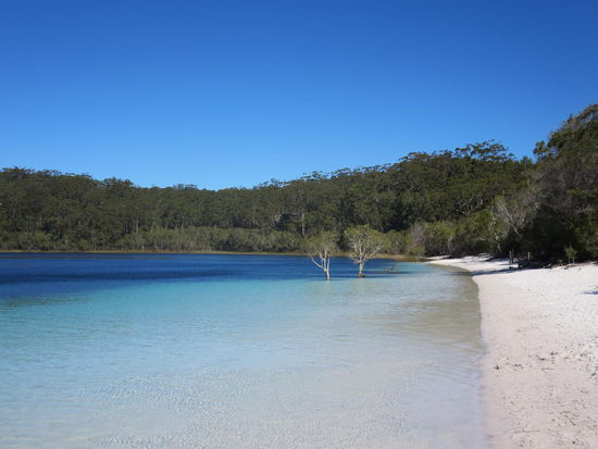 Immerhin bis zu diesem Ende bin ich geschwommen ...