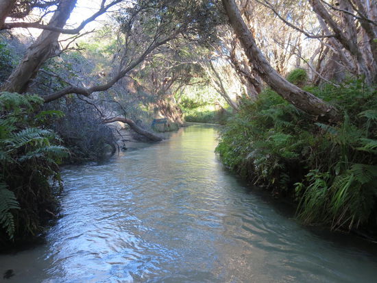 ... wobei man ihn je nach Wasserstand als treibendes Gewässer bequem nutzen kann ...