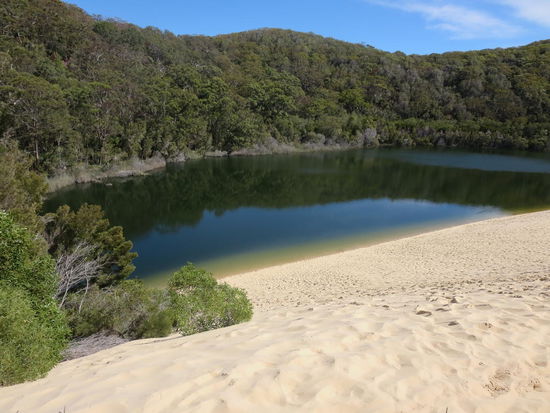 Und da ist er, Lake Wabby, wo man sich die Sanddünen bis zum See runterrollen lassen kann