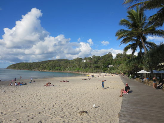 Hauptstrand von Noosa, geschützt an einer Lagune gelegen