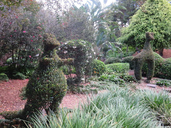 ... auch Tiere zu sehen 