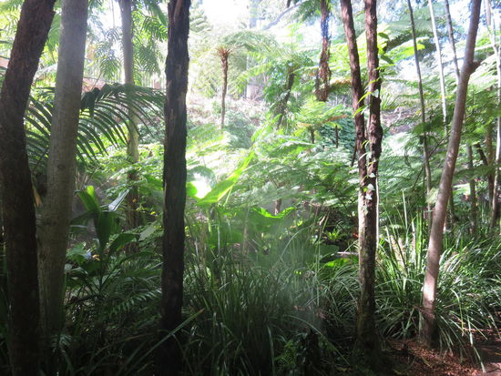 ... neben schön ...