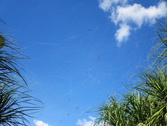 Tja, unter diesem Dach wäre vielleicht nicht jeder von Euch durchgelaufen 