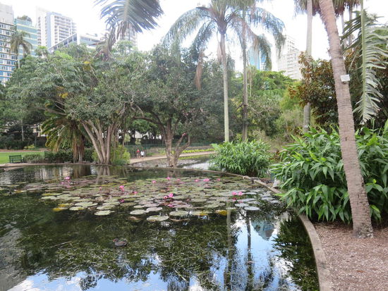 Botanischer Garten ...