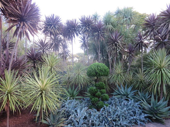 Deutschland - Die Nachbereitungen laufen