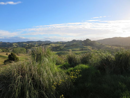 So sieht es da immer neben der Straße aus 