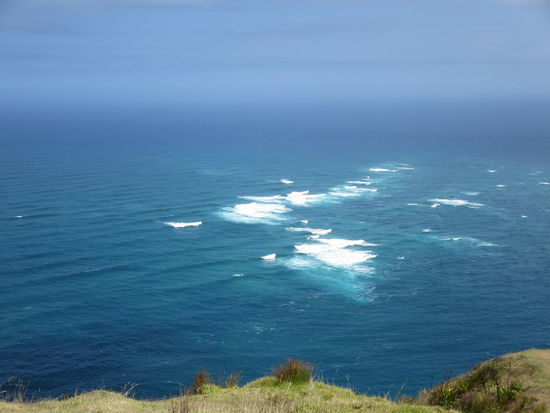 Am Cape Reinga