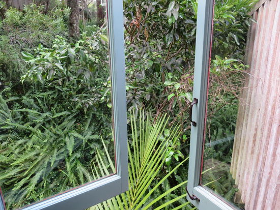 Aussicht vom Zimmer aus ...