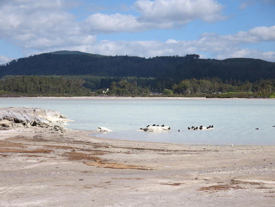 Weiß-gefärbtes Meer durch die Minerale