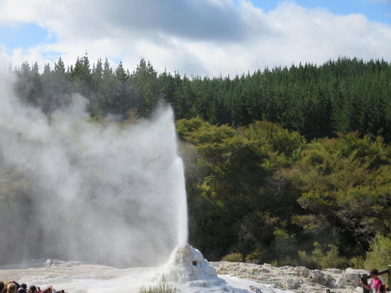täglich mit Seifenlauge zum künstlichen Ausbruch gebracht - Geysir Lady Knox
