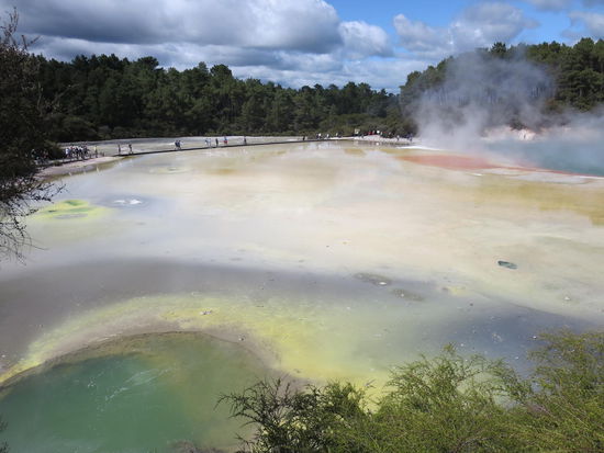 Der Champagner-Poo.l