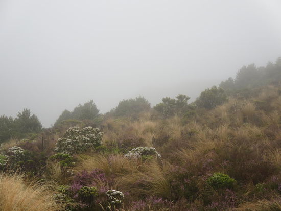 Wo war nochmal der Berg???