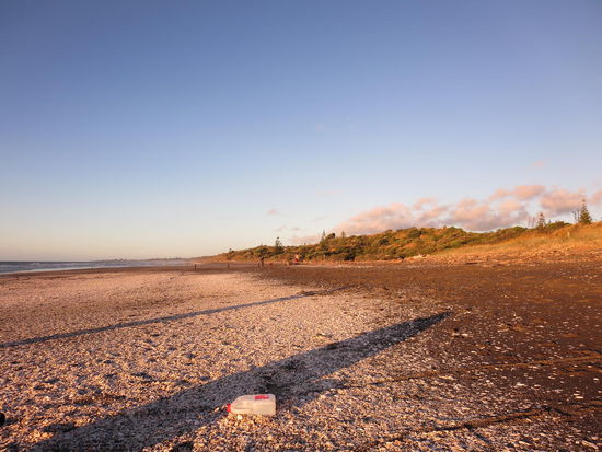 Im Nachhinein betrachtet ne sehr gute Alternative zu Wellington 