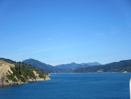 Einfahrt in den langen Kanal nach Picton/Südinsel