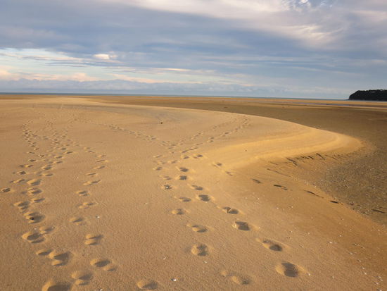 Spuren im Sand (sehr geistreich, ich weiß) 