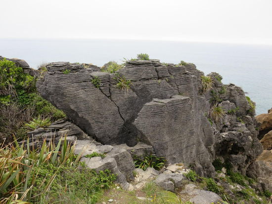 Quasi ein Veggie-Pfannkuchen