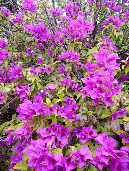 Ein Bild für die Mama, weil du die doch so gerne hast.